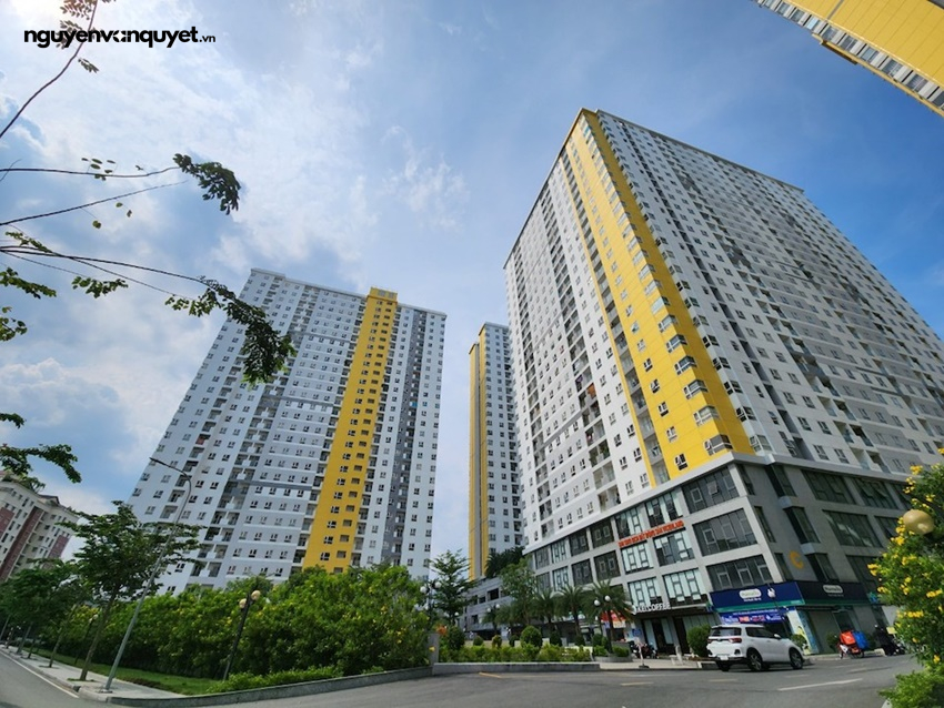 Chung cư Diamond Riverisde Quận 8 có sổ chưa?